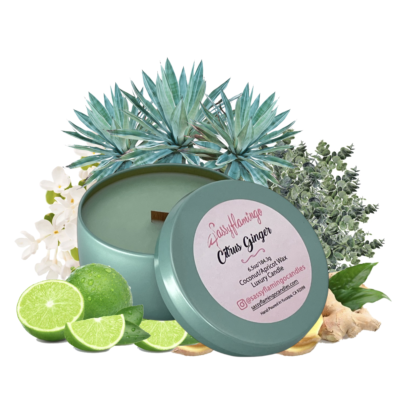Citrus Ginger 6.5oz Decorative Travel Tin Candle