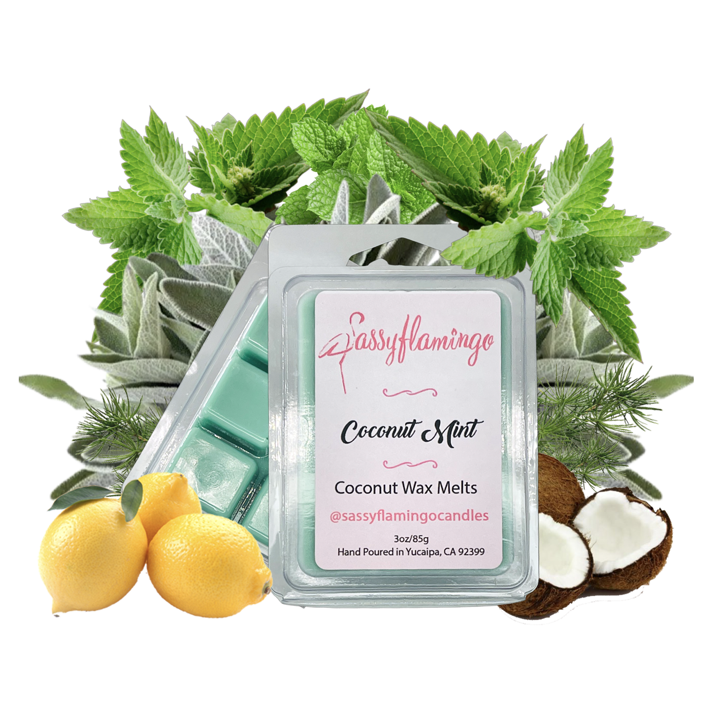 Coconut Mint Wax Melts