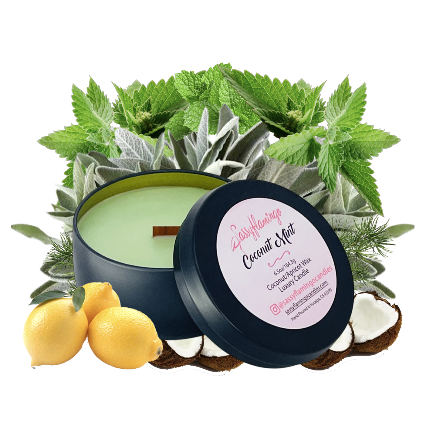 Coconut Mint 6.5oz Decorative Travel Tin Candle