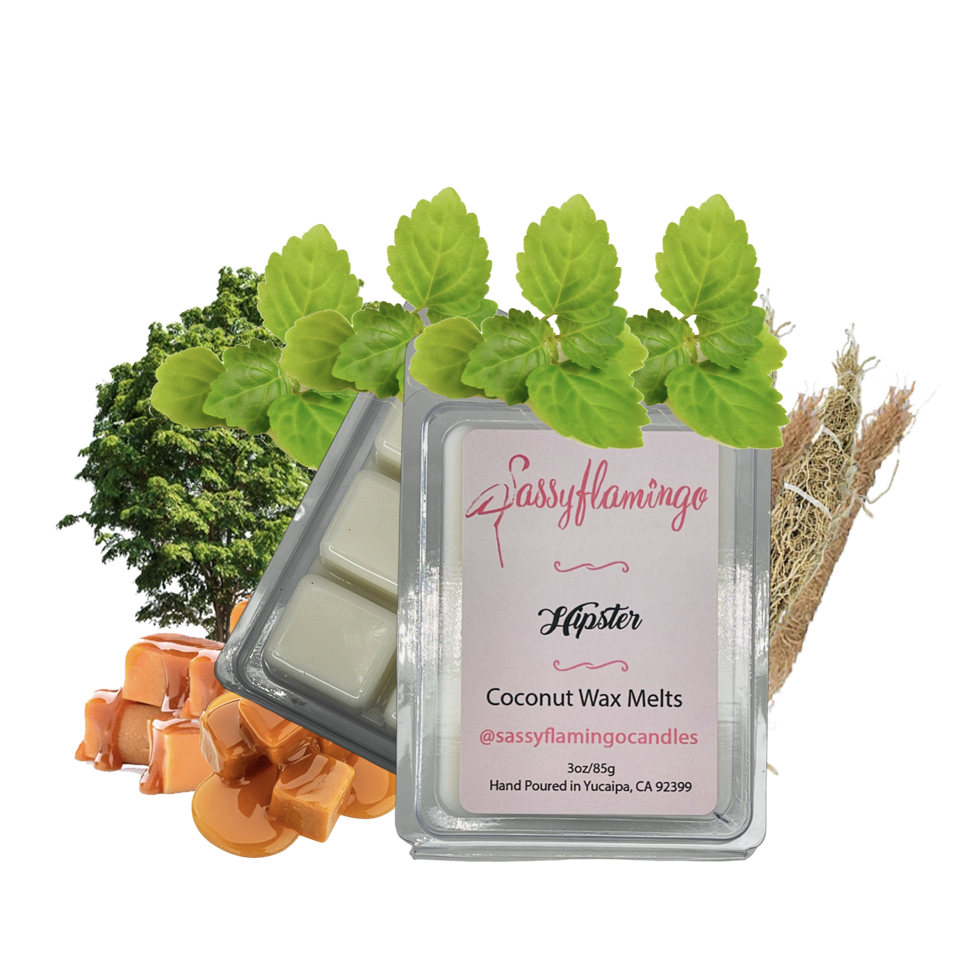 Hipster Wax Melts