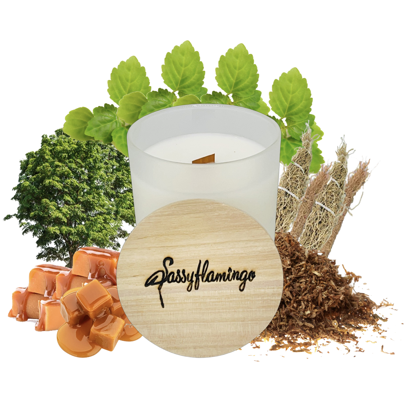 Hipster Sassy Signature 10oz Hand-Poured Crackling Wick Candle & Lid