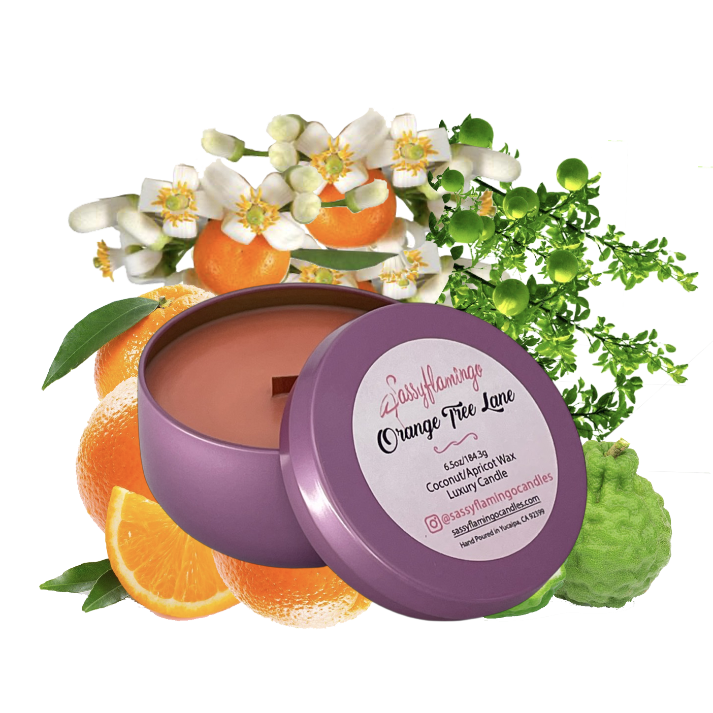 Orange Tree Lane 6.5oz Decorative Travel Tin Candle
