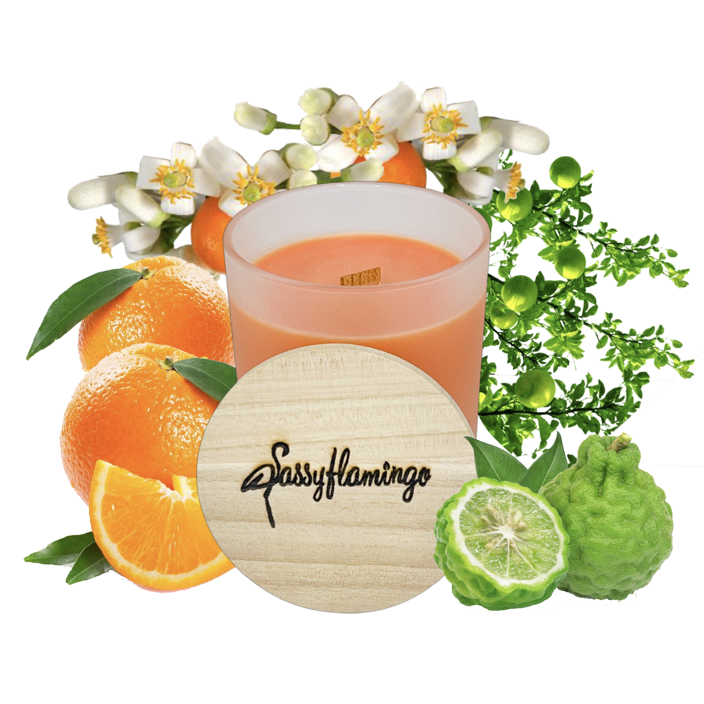 Orange Tree Lane Sassy Signature 10oz Hand-Poured Crackling Wick Candle & Lid